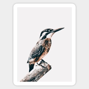 bird Sticker